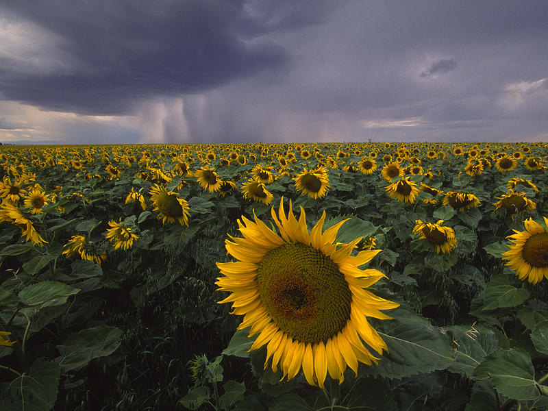 你太過於熱情，所以覺得別人冷漠 ...