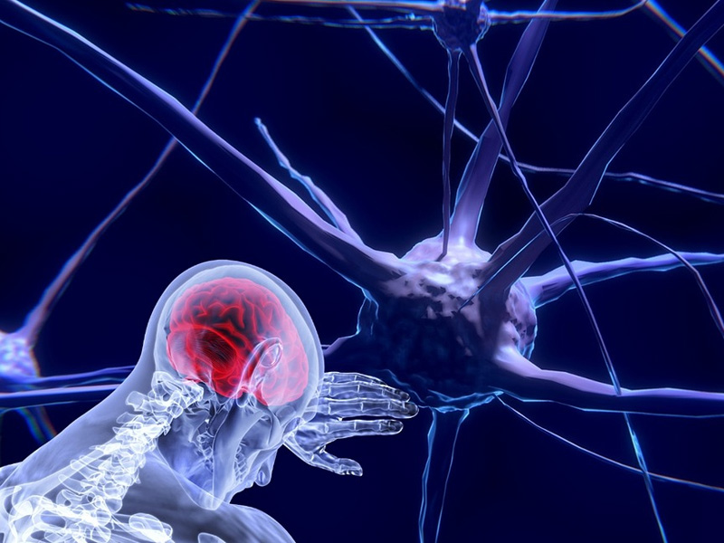 15個錯誤生活習慣,讓我們的大腦變得更加疲勞! 15個錯誤生活習慣,讓我們的大腦變得更加疲勞!