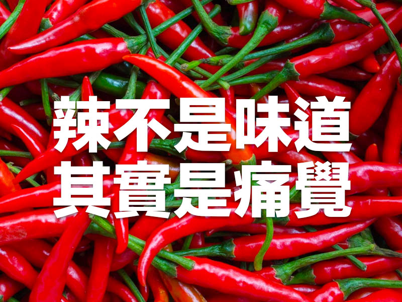 9 大關於食物的冷知識 顛覆你的認知 9 大關於食物的冷知識 顛覆你的認知