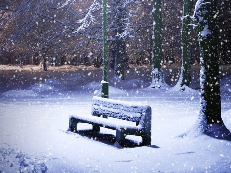 我為你雪中送炭,你卻望我家破人亡? 我為你雪中送炭,你卻望我家破人亡?
