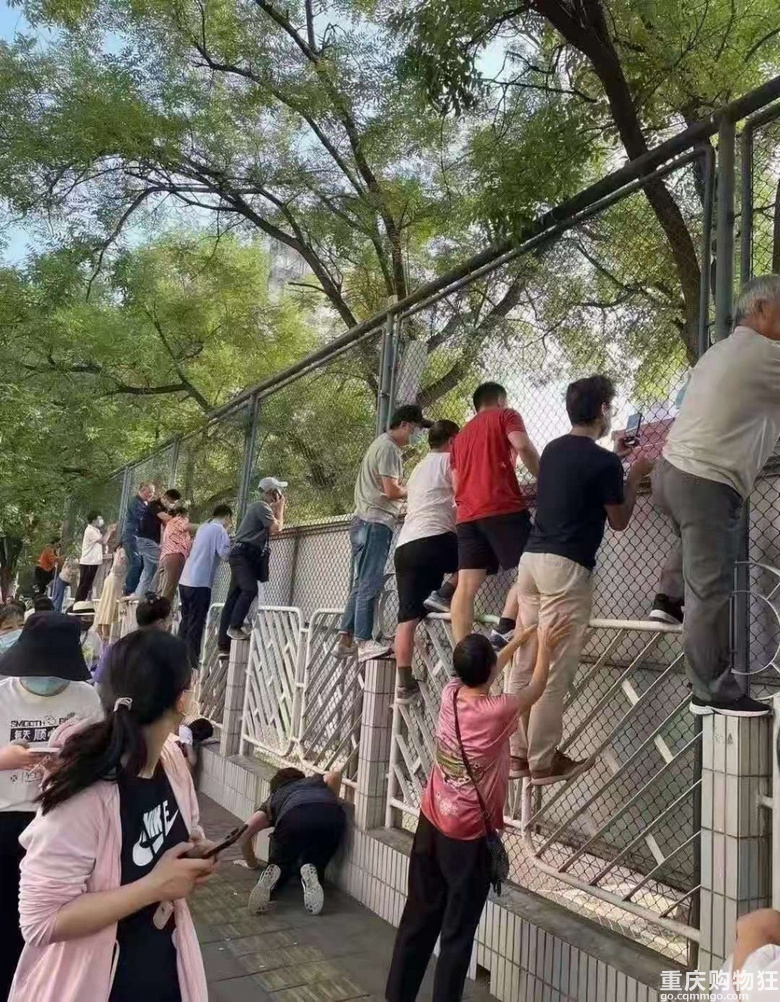 以為有 Mirror 原來 …