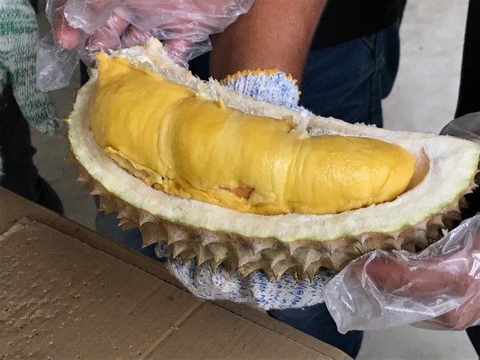 吉隆坡市中心吃榴槤