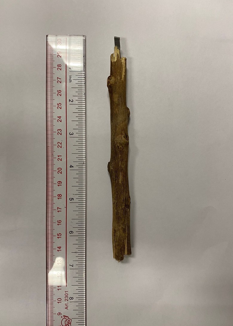 刀片插傷男童頭 9歲男童被帶署調查