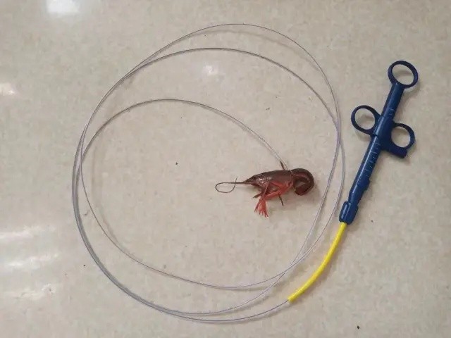 14歲少年塞生猛小龍蝦入肛門 原因嚇壞網民 ...