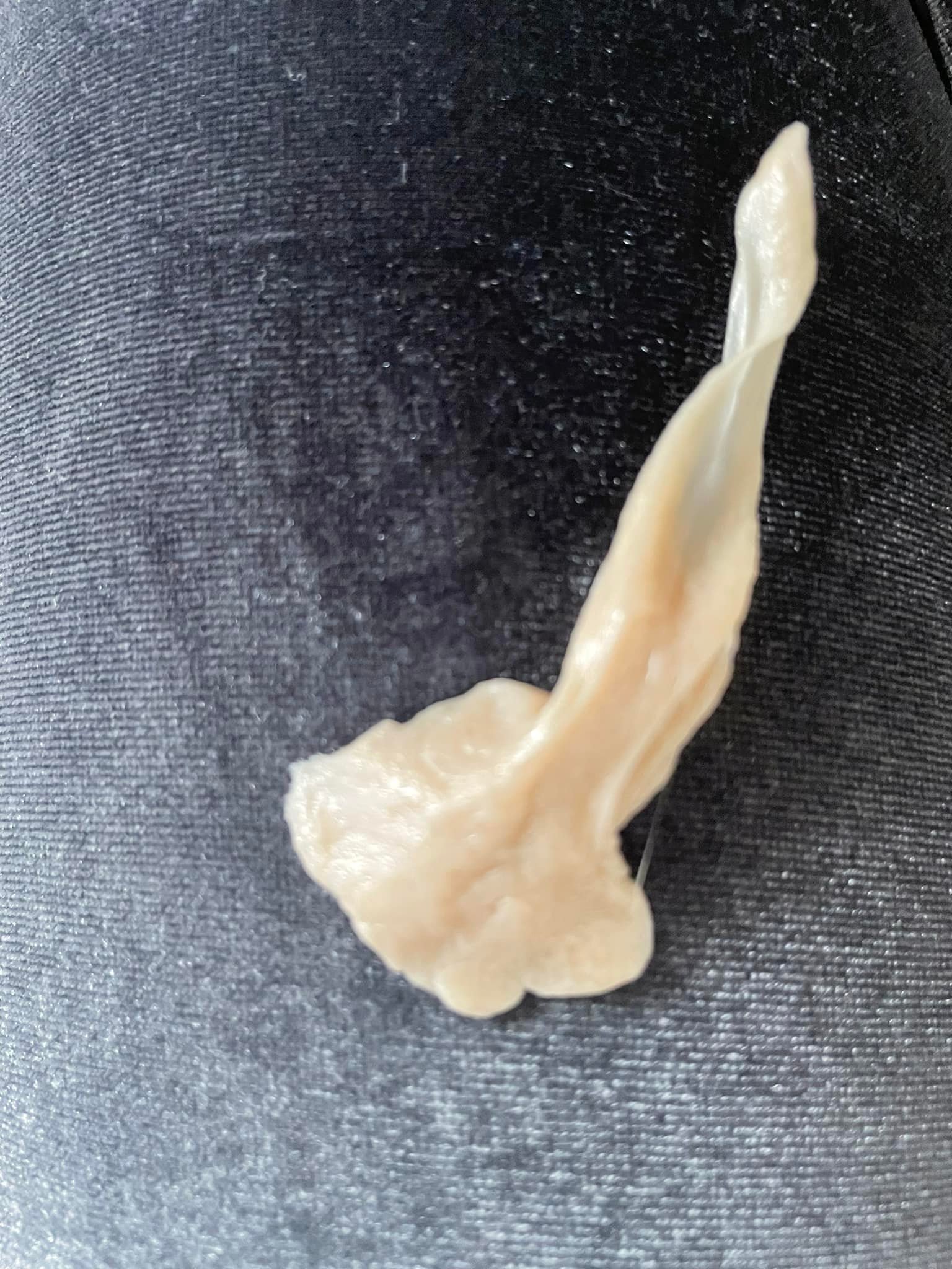 食爭鮮食到有香口膠？