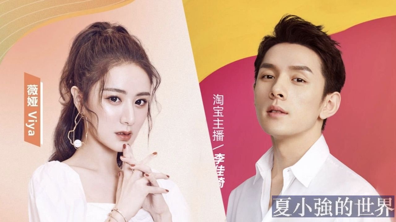 國內直播一姐薇婭 偷稅逃稅6億全網被封
