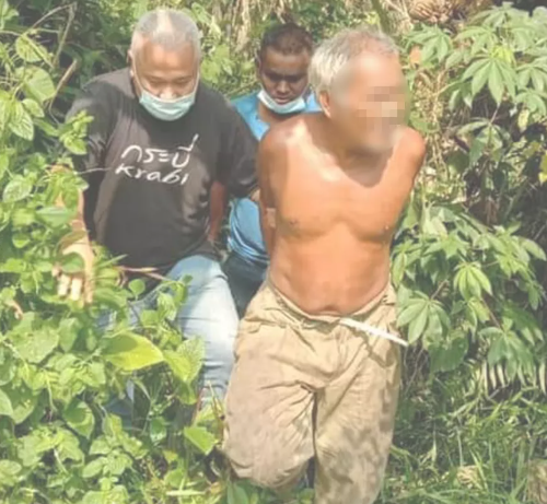 強姦母羊致死 6旬漢被判監6年
