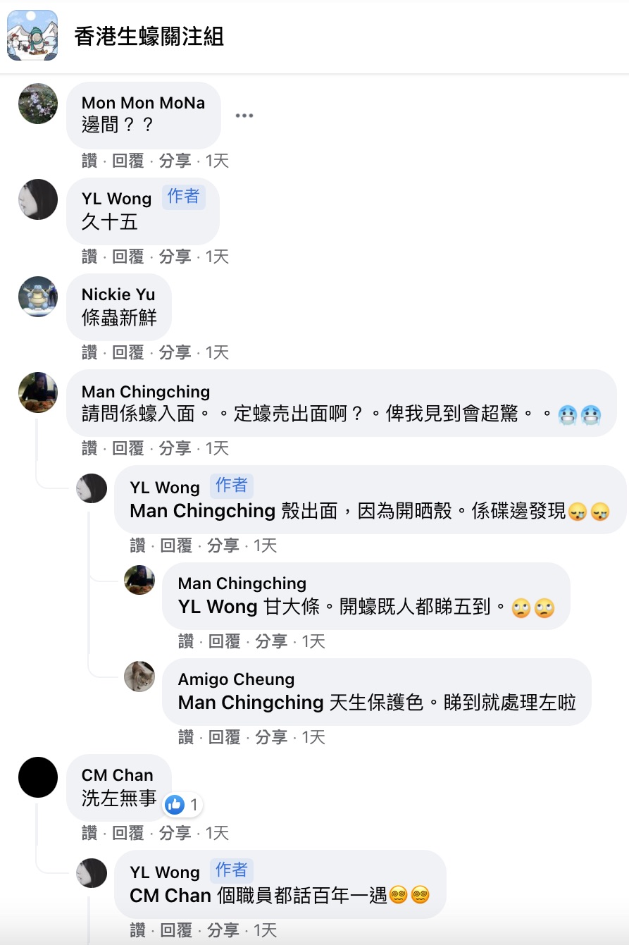食生蠔食到有青蟲 職員都話百年一遇