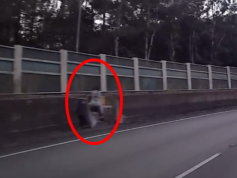 高速公路靈異事件?野外露出? 高速公路靈異事件?野外露出?