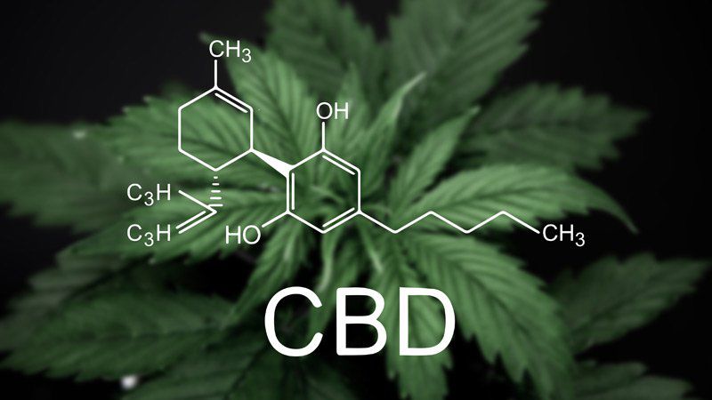 萬寧售大麻酚產品 4員工協助調查