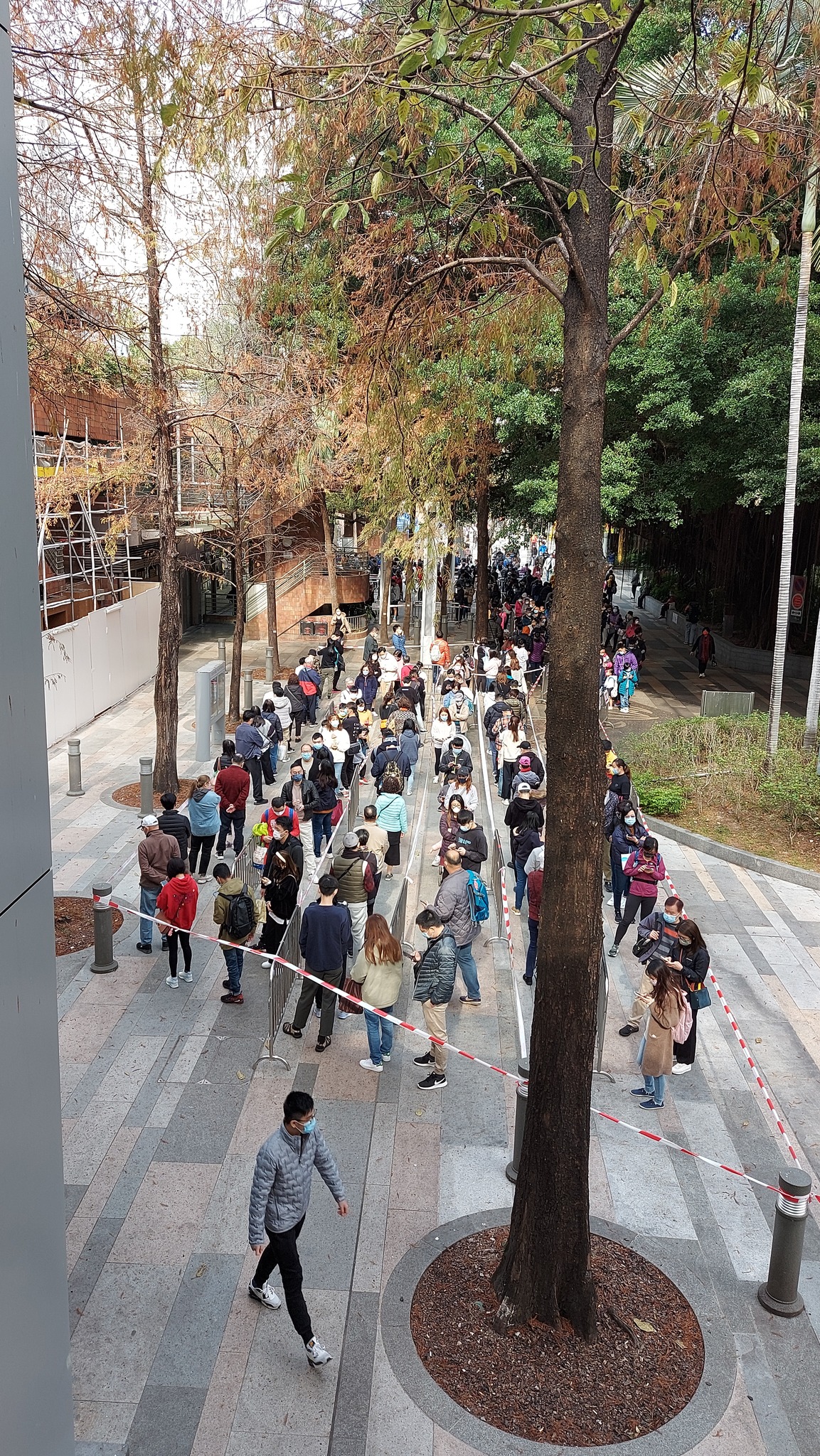 2/6 各區密集式排隊檢測情況