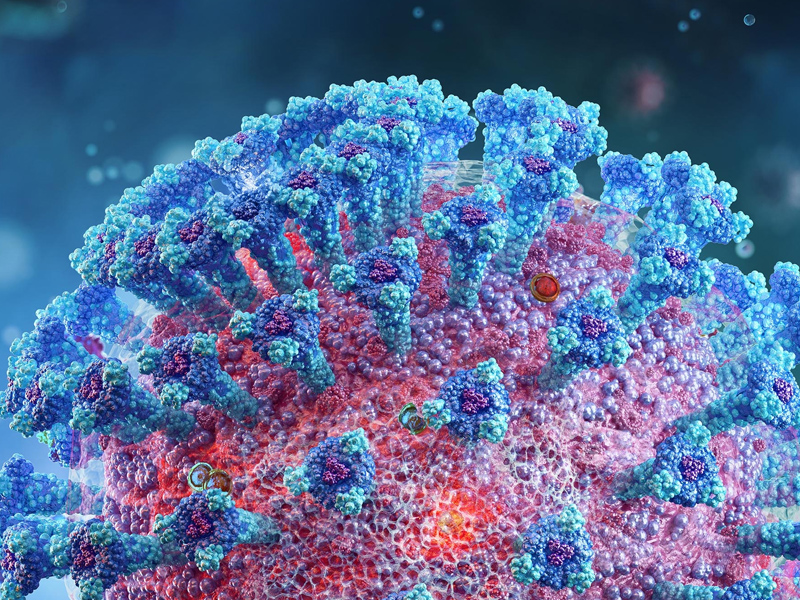 全港總確診人數逼近一百萬