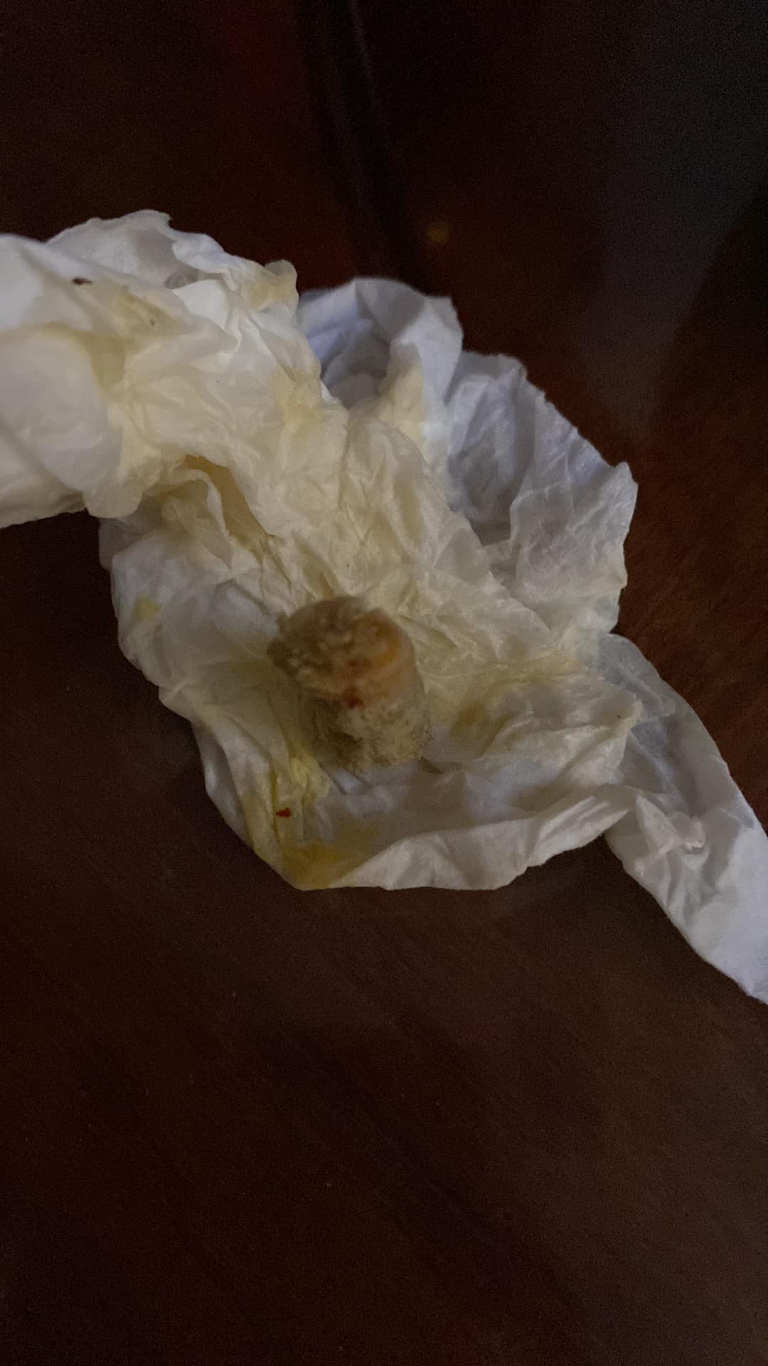 兩餸飯飯盒 加餸彈牙煙頭