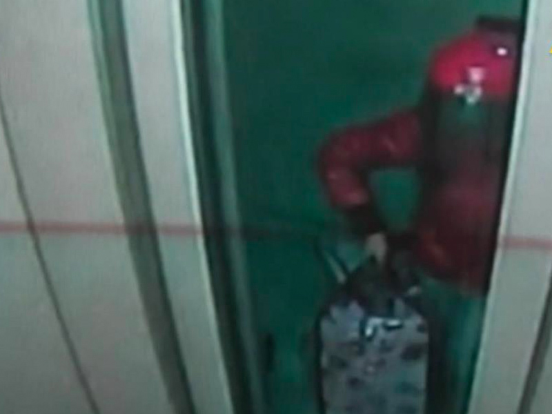 為了讓丈夫消失 她花了三個月準備