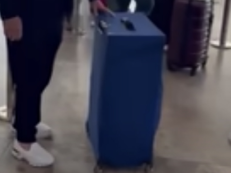 行李箱忽然發出陣陣叫床聲 ... 行李箱忽然發出陣陣叫床聲 ...