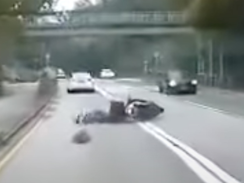 馬騮突衝出馬路 造成電單車意外 #死神来了