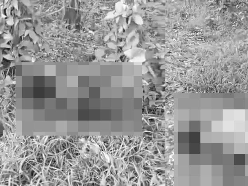 最少5港人墮騙局 「賣豬仔」泰緬失聯