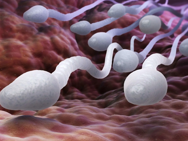 研究證實：Wi-Fi 會殺精