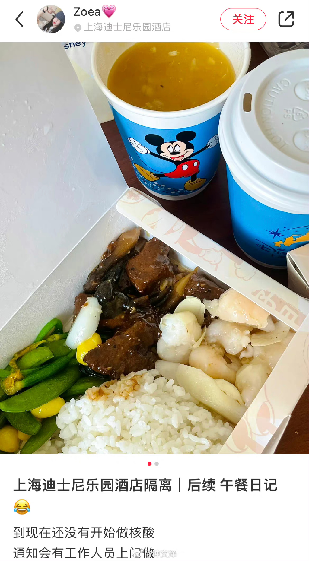 上海迪士尼樂園酒店 突封鎖禁足隔離