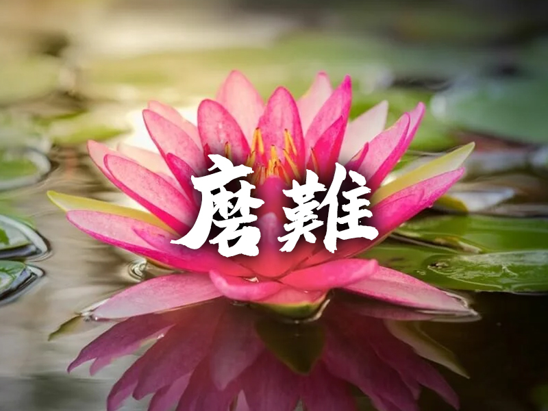 為什麼善良的人 會經受更大的磨難