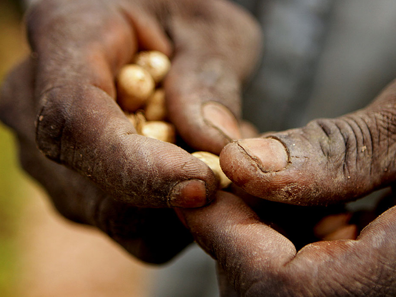 埋頭苦幹就能賺大錢嗎？別傻了