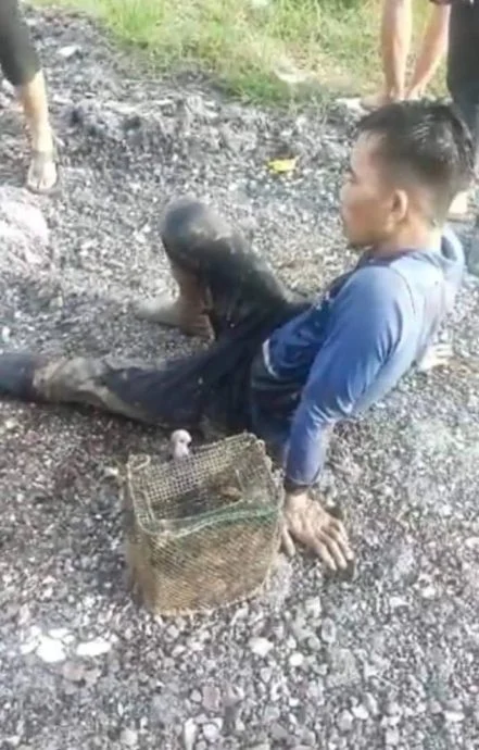 被鱷魚咬住小腿 男子情急下用一招脫險