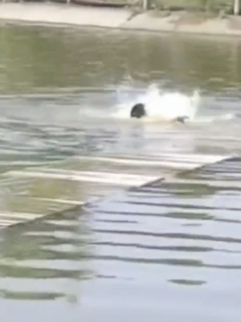 水上浮橋意外 影片瘋傳