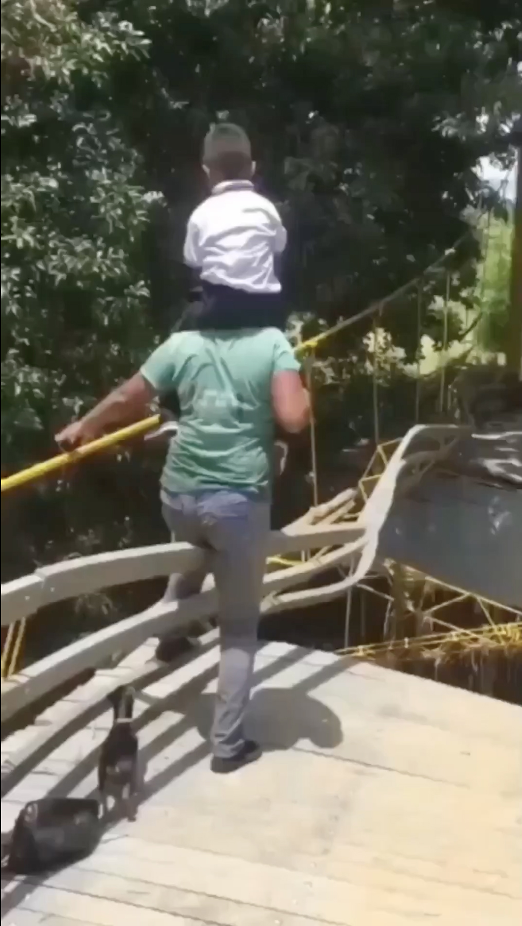 兒坐肩上走獨木橋，媽腳滑踩空，結果 ...