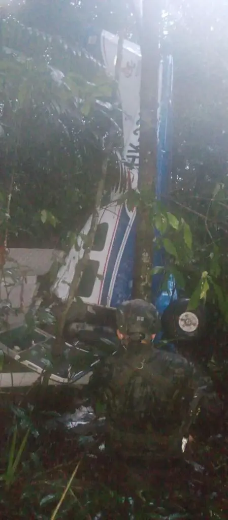 飛機墜毀意外 成年人全罹難 4 孩童奇蹟生還