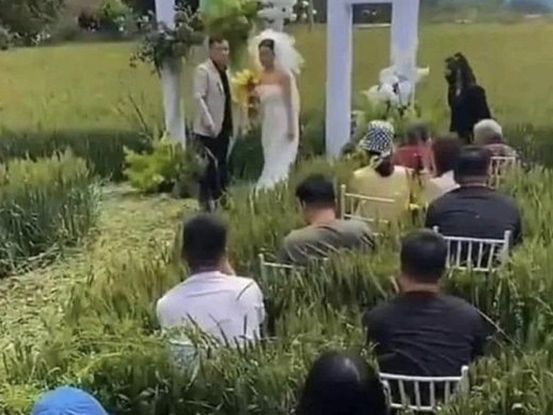 參加婚禮，以為去了冥婚