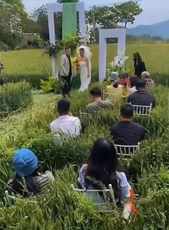 參加婚禮，以為去了冥婚