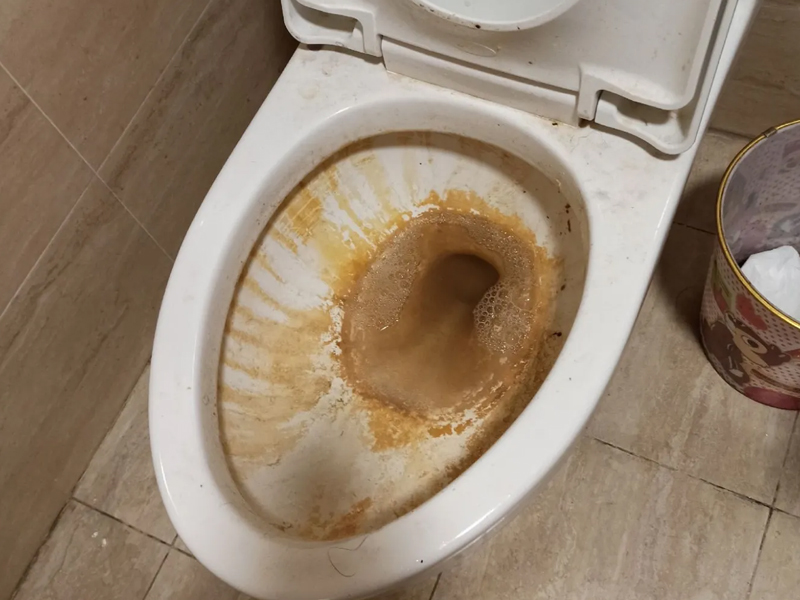 Airbnb 訂房 床旁邊就是馬桶