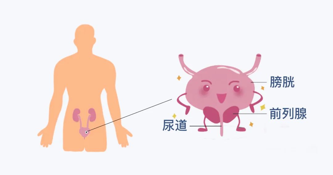 出現 4 異常，小心前列腺癌晚期