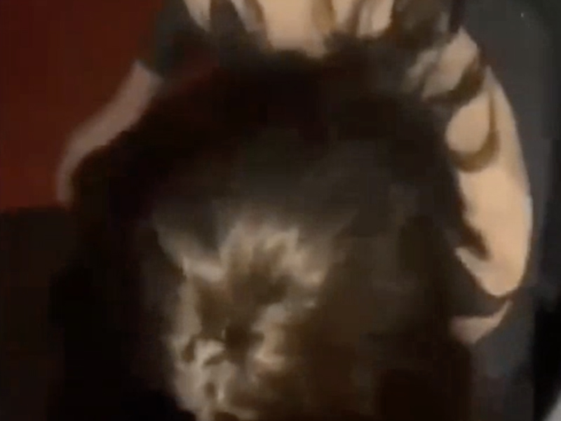 【有片】男約砲長髮正妹 3P 沒想到，正妹是 ...