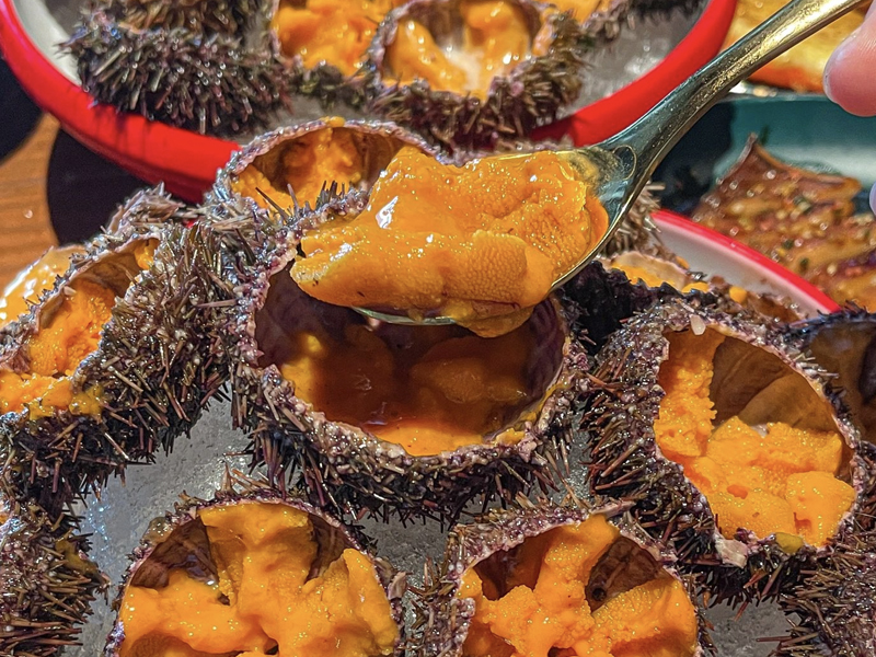 深圳：任食海膽、拖羅、鵝肝！好喜歡這家日式放題！！