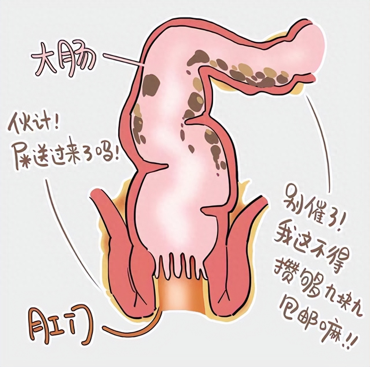大便總有種拉不乾淨的感覺？或許是這出問題了