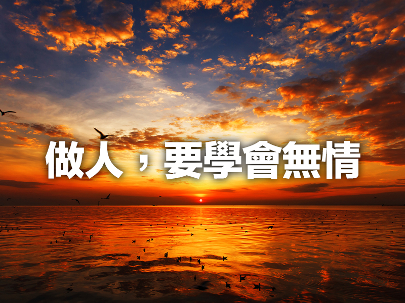 做人,要學會無情 做人,要學會無情
