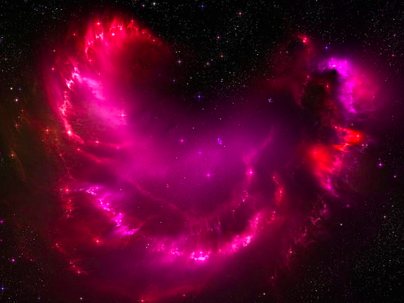 2024 年 4 大星座迎事業巔峰 2024 年 4 大星座迎事業巔峰