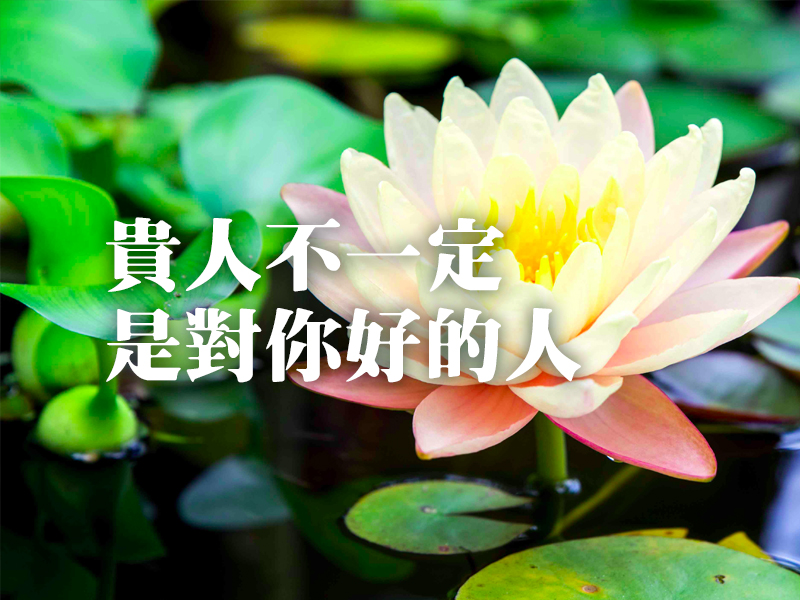 貴人不一定是對你好的人 貴人不一定是對你好的人
