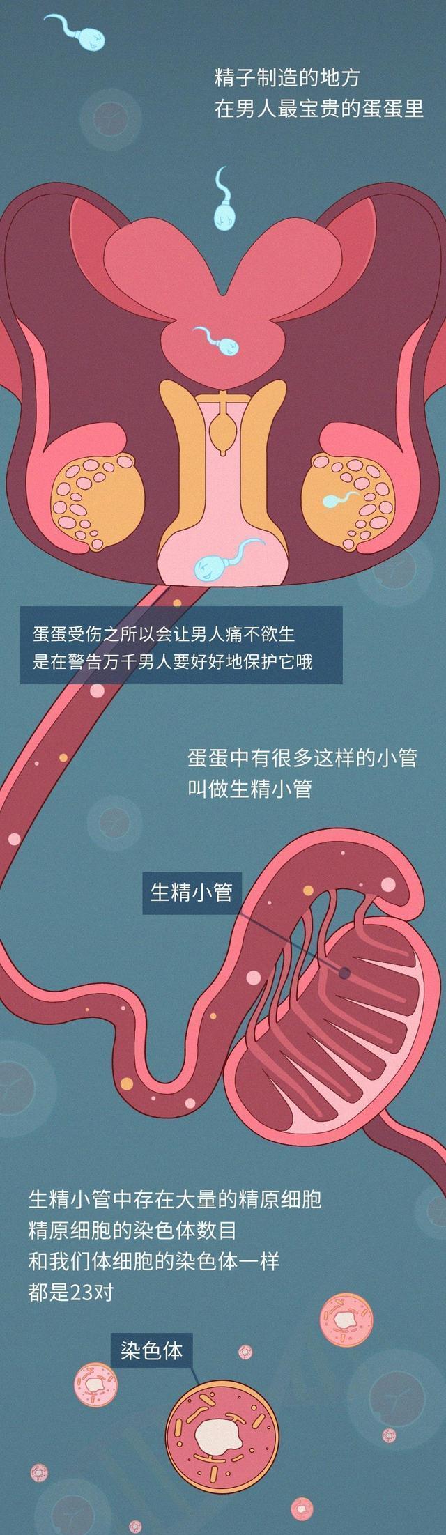 男生長期自慰，對身體有什麼影響