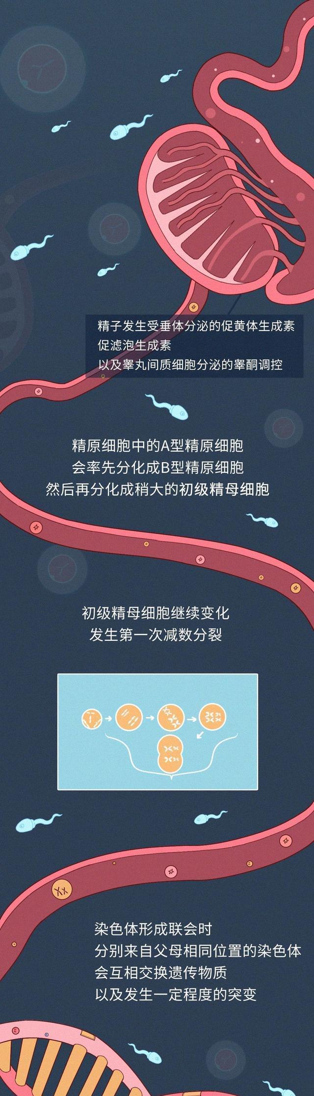 男生長期自慰，對身體有什麼影響