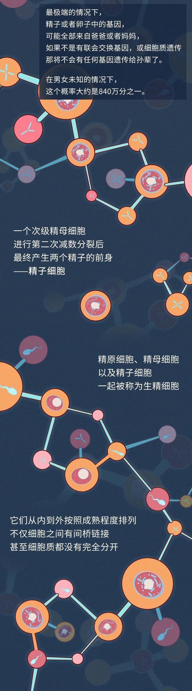 男生長期自慰，對身體有什麼影響