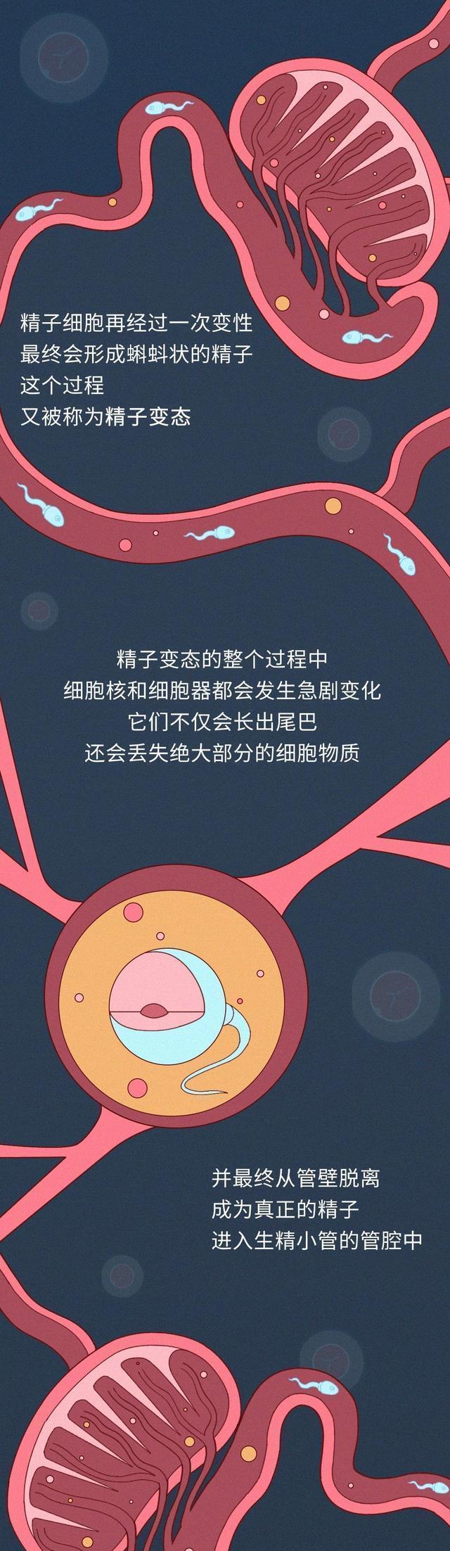 男生長期自慰，對身體有什麼影響