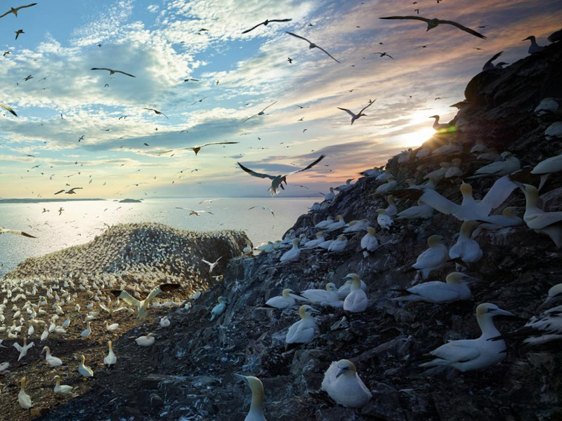 很短的 7 個故事，卻說透了人性！