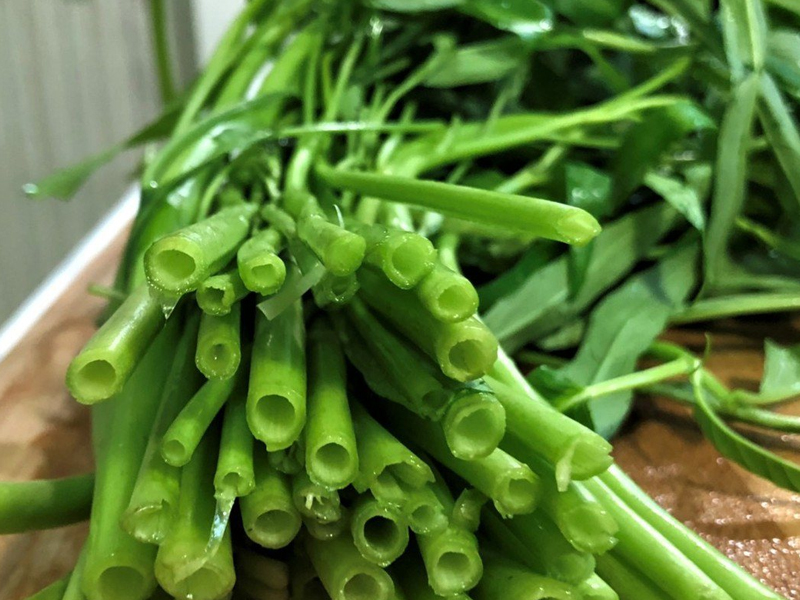 小心!這些蔬菜真的有毒,你還敢吃嗎? 小心!這些蔬菜真的有毒,你還敢吃嗎?