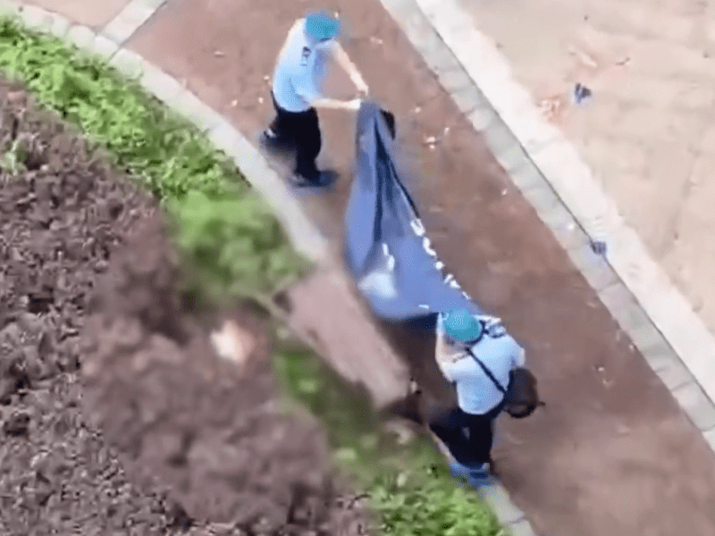 殺妻后24樓跳樓自殺，夫軀體分離慘況曝光