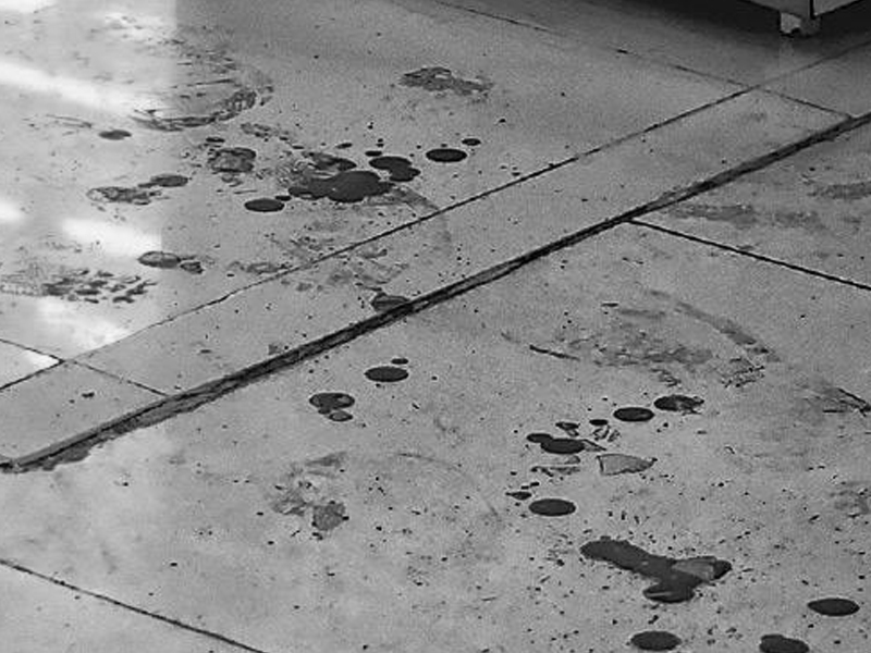 油塘鯉魚門兄弟鬩牆：八旬老翁持刀斬七旬弟弟！