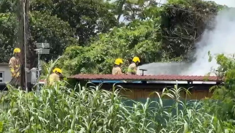 元朗火警驚現40具貓屍！背後真相令人震驚！