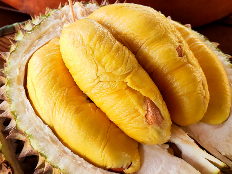 榴槤貿易大突破：馬來西亞新鮮榴槤進軍中國市場