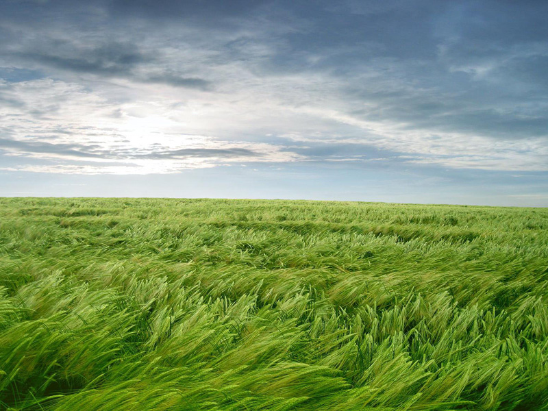 別在別人的眼光中過活